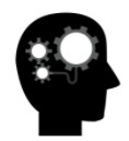 brain